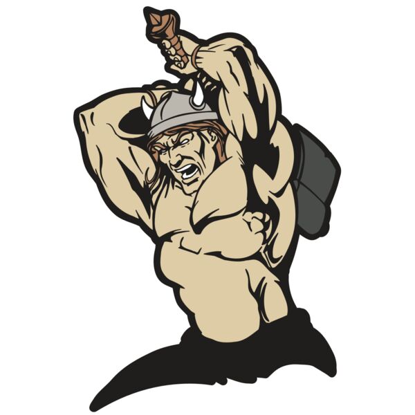 AR VIKING 19 RC Thumbnail