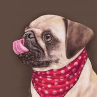 The Pet Portrayer Thumbnail